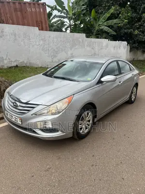 Hyundai Sonata 2012 Silver