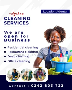 Cleaning Service