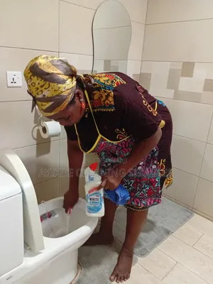 Cleaning Service