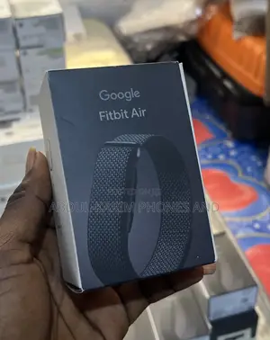 Google Fitbit Air