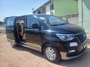 Car Rental