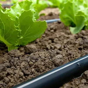 Drip Irrigation Tube