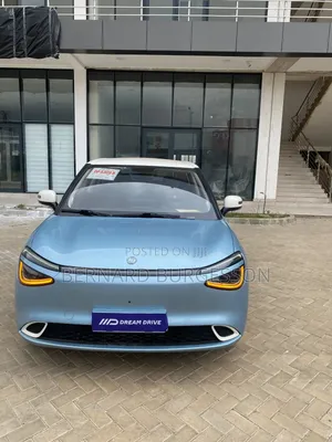 New Dongfeng Nammi 01 42.3 kWh 430 Air 2025 Blue