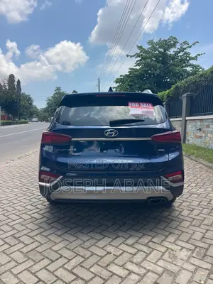 Hyundai Santa Fe 2019 Blue