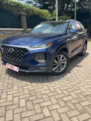 Hyundai Santa Fe 2019 Blue