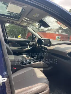 Hyundai Santa Fe 2019 Blue