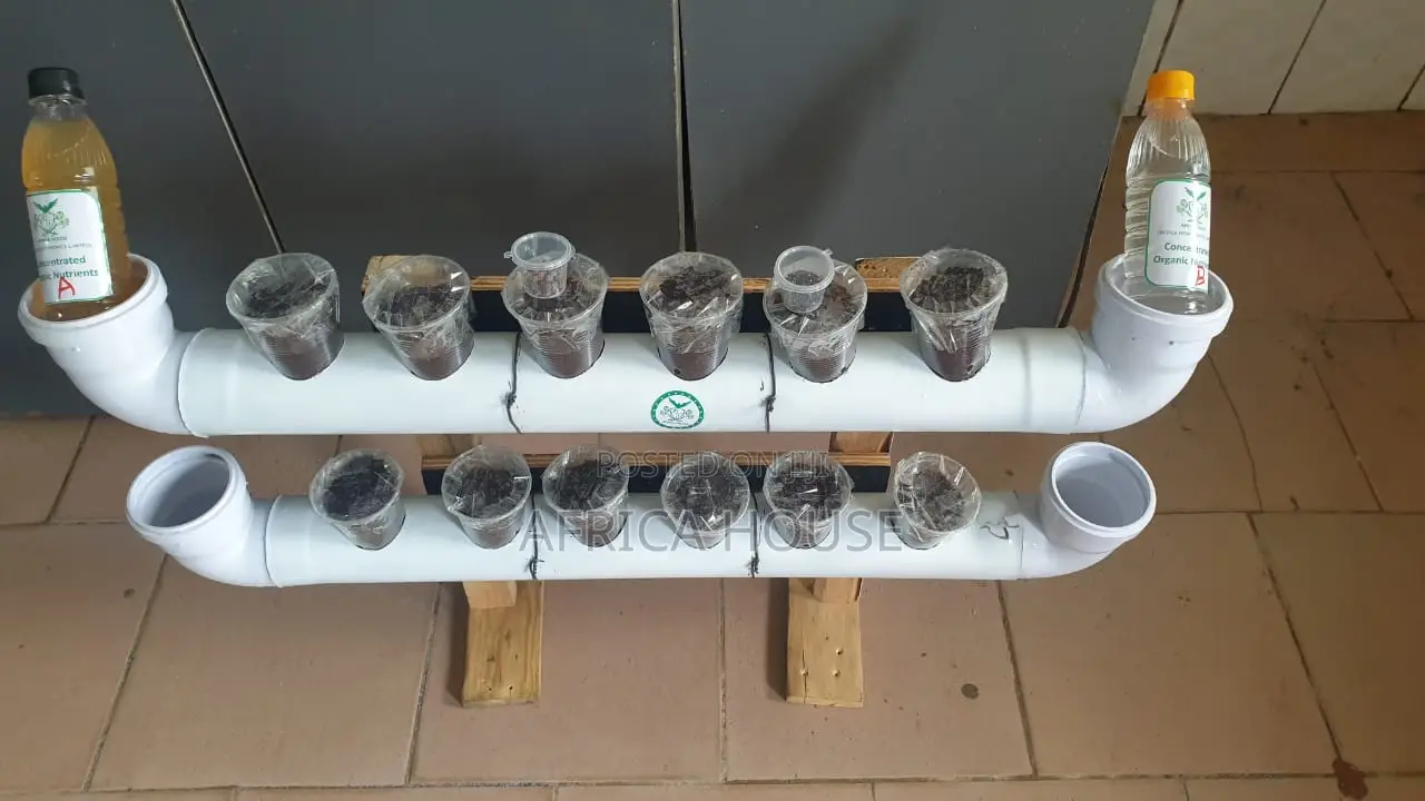 Hydroponics Kit for Sale