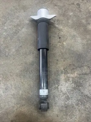 Lexus NX 2022-2026 Back Shock