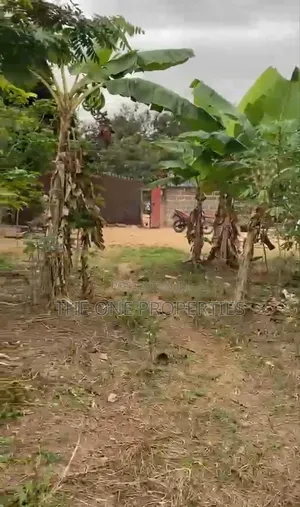 Road Side 1 Acre (4 Plots) for Sale at Kotoku Papase Road