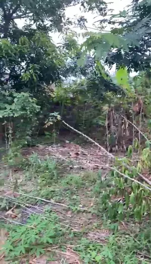 Road Side 1 Acre (4 Plots) for Sale at Kotoku Papase Road