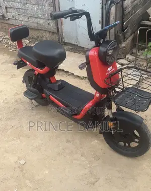 Golden Horse E-Bike