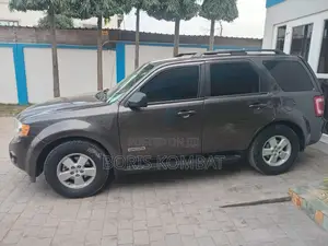 Ford Escape XLS 4WD 2.3 2008 Gray