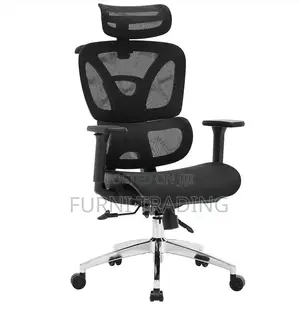 Ergonomic Office Chair