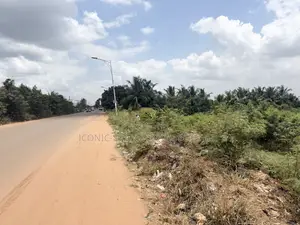 Titled 2 Plots of Main Roadside Land at Dodowa