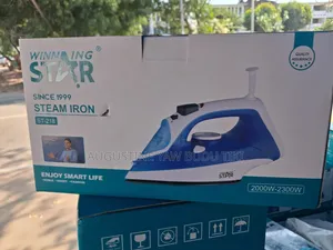 Winning Star Steam Iron St-218
