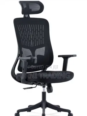 Ergonomic Office Chair
