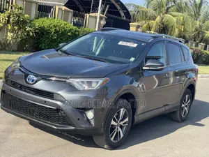 Toyota RAV4 XLE 4dr SUV (2.5L 4cyl 6A) 2018 Gray