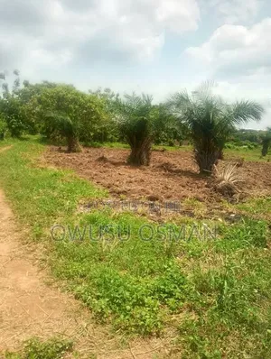 Two Plots of Lands for Sale