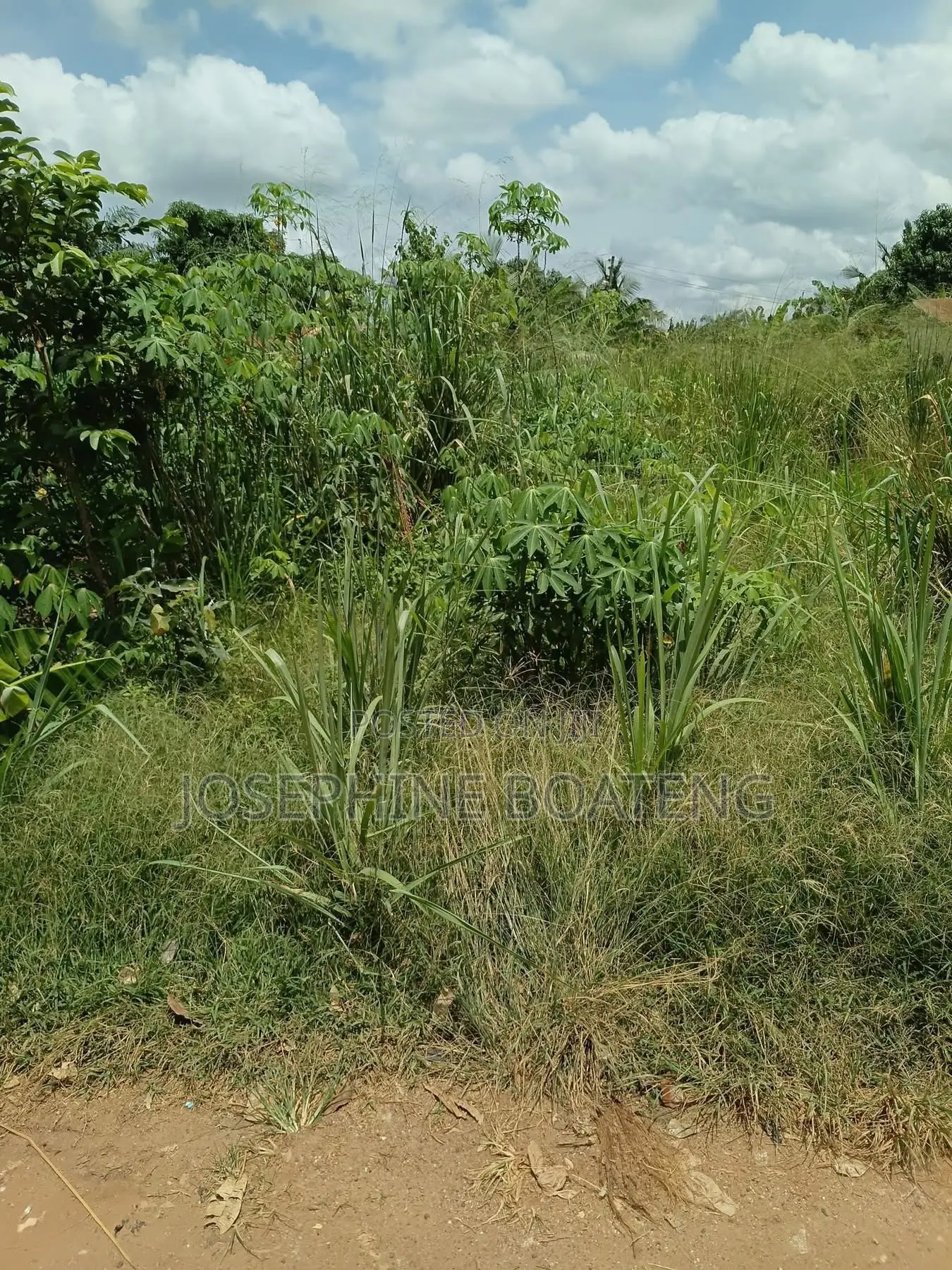 Land for Sale