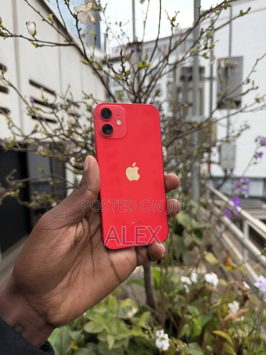 New Apple iPhone 12 mini 128 GB Red