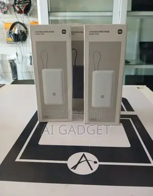 Xiaomi 33W Power Bank