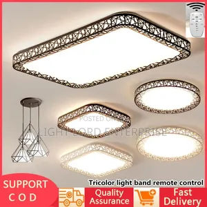 IPG/Tricolor 500mm Ceiling Light With Remote Control