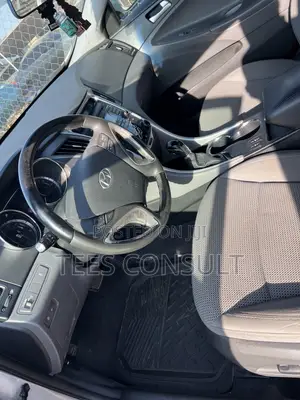 Hyundai Sonata 2010 Silver