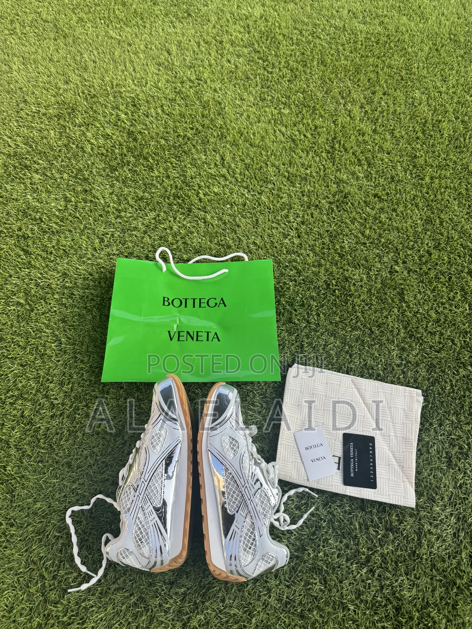 Bottega Venetta Silver