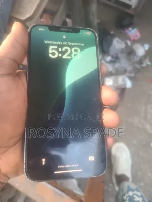 Apple iPhone 12 Pro Max 256 GB Black
