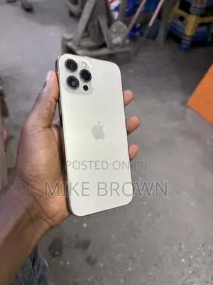Apple iPhone 12 Pro Max 256 GB Rose Gold