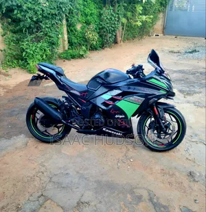 Kawasaki Ninja 300 2013 Black