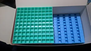 Modeling Blocks (Set)