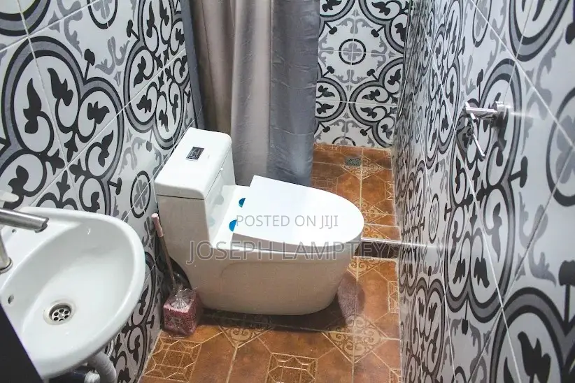 Furnished Studio Apartment in Joseph Lamptey, Police Station for rent