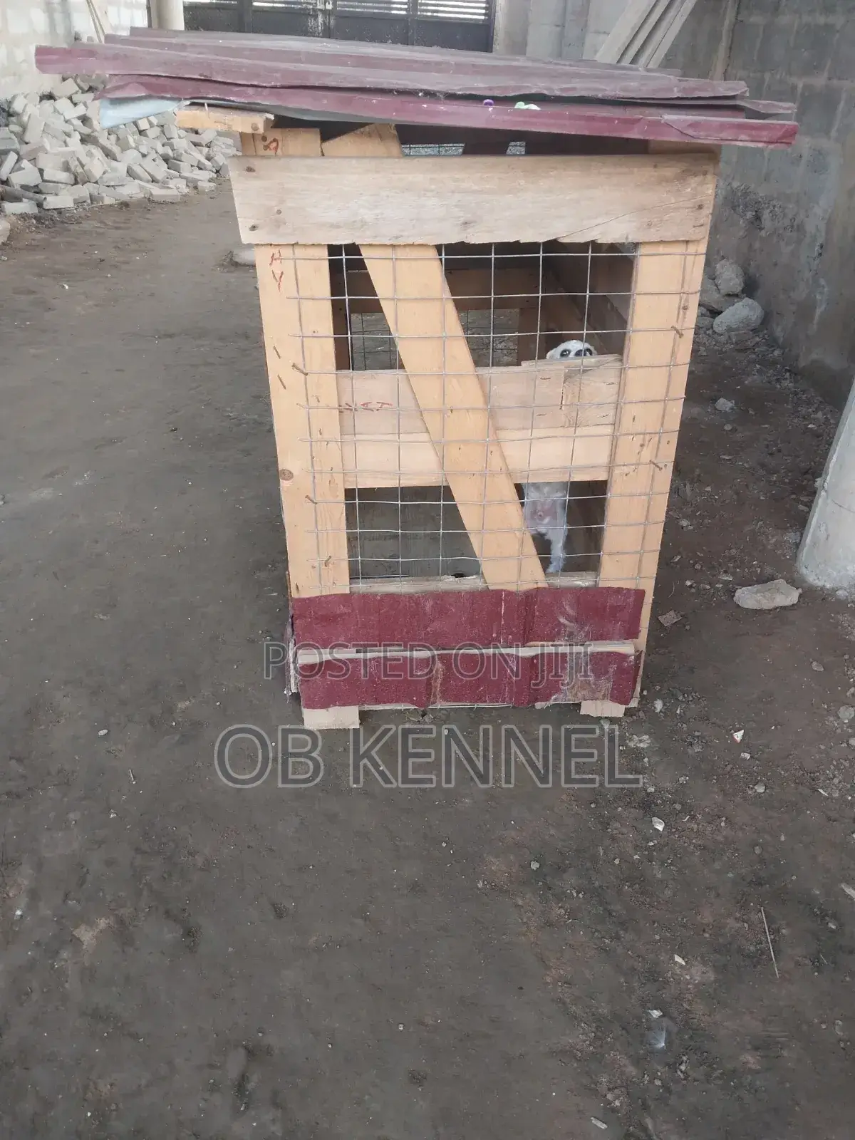 Dog Cage for Sale