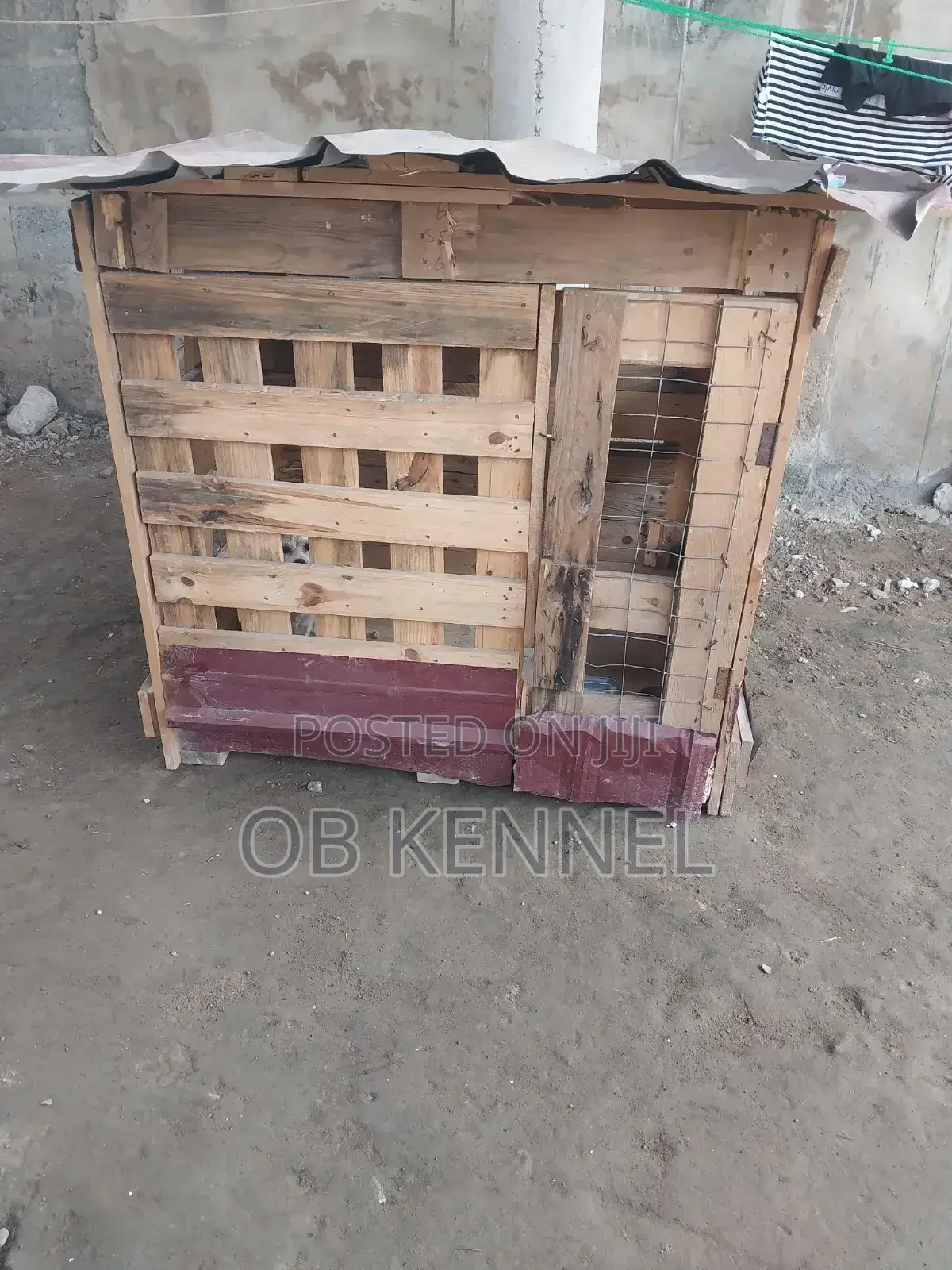 Dog Cage for Sale