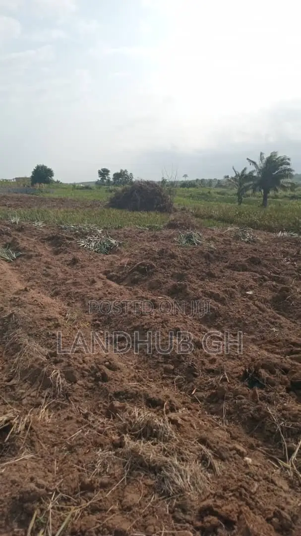 Farm/Residential Land Aburi-Nsawam