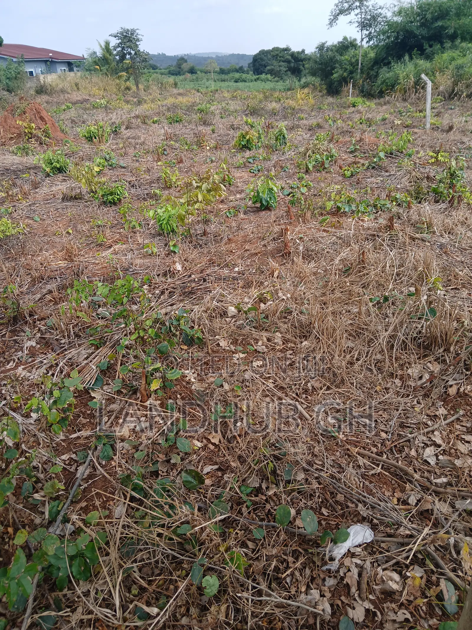Farm/Residential Land Aburi-Nsawam