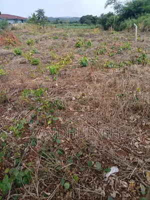 Farm/Residential Land Aburi-Nsawam