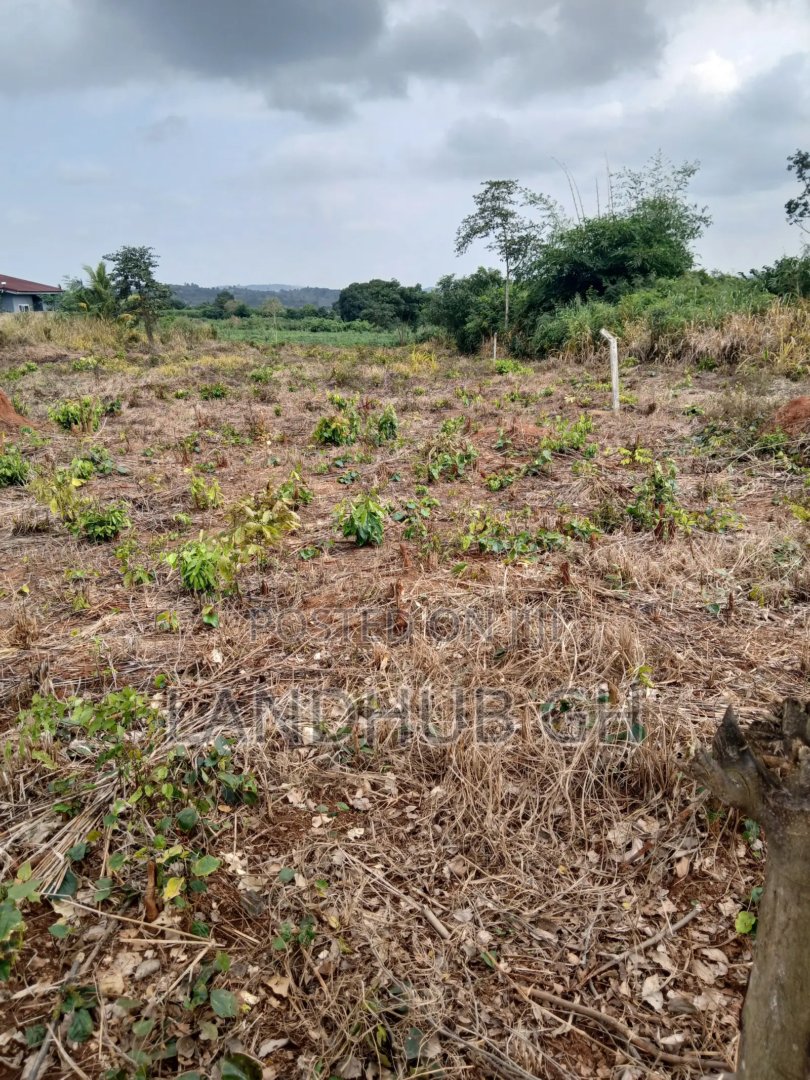 Farm/Residential Land Aburi-Nsawam