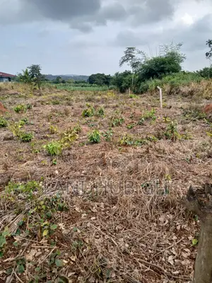 Farm/Residential Land Aburi-Nsawam