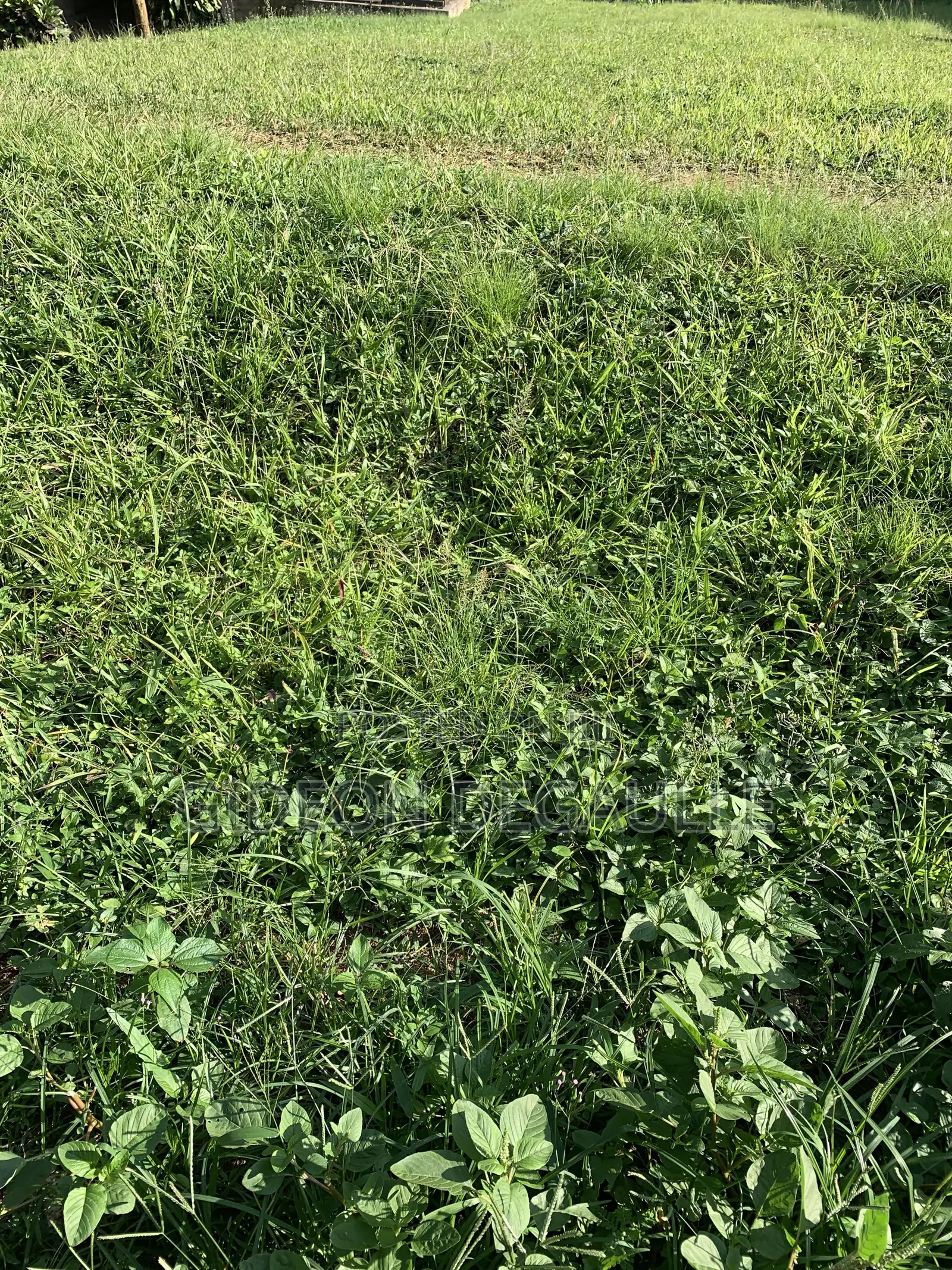 RANS REAL ESTATE |18 Acres | Land for Sale