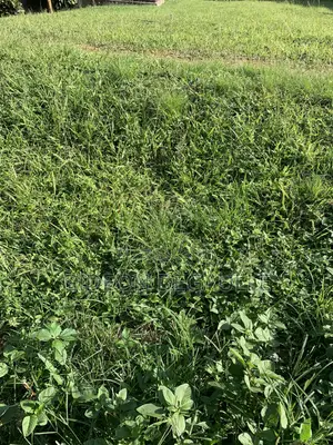 RANS REAL ESTATE |18 Acres | Land for Sale