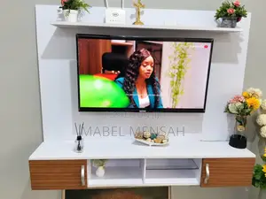 TV Console and TV