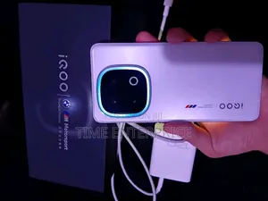 Vivo iQOO 13 512 GB Gray