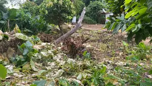 1 Fine Plot of Land for Sale
