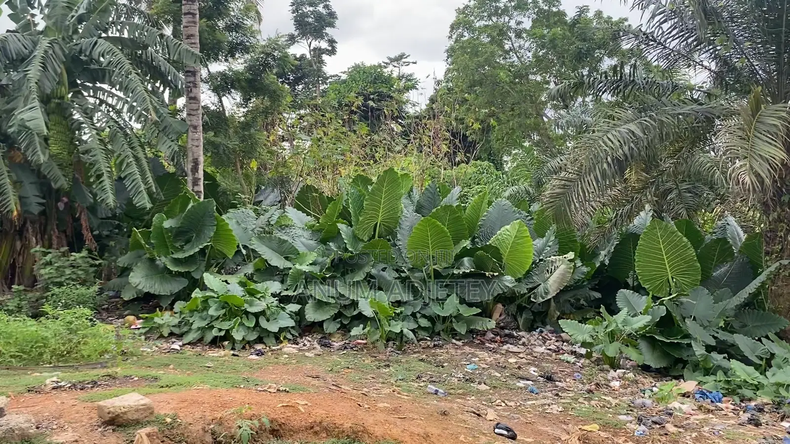 1 Fine Plot of Land for Sale