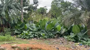 1 Fine Plot of Land for Sale