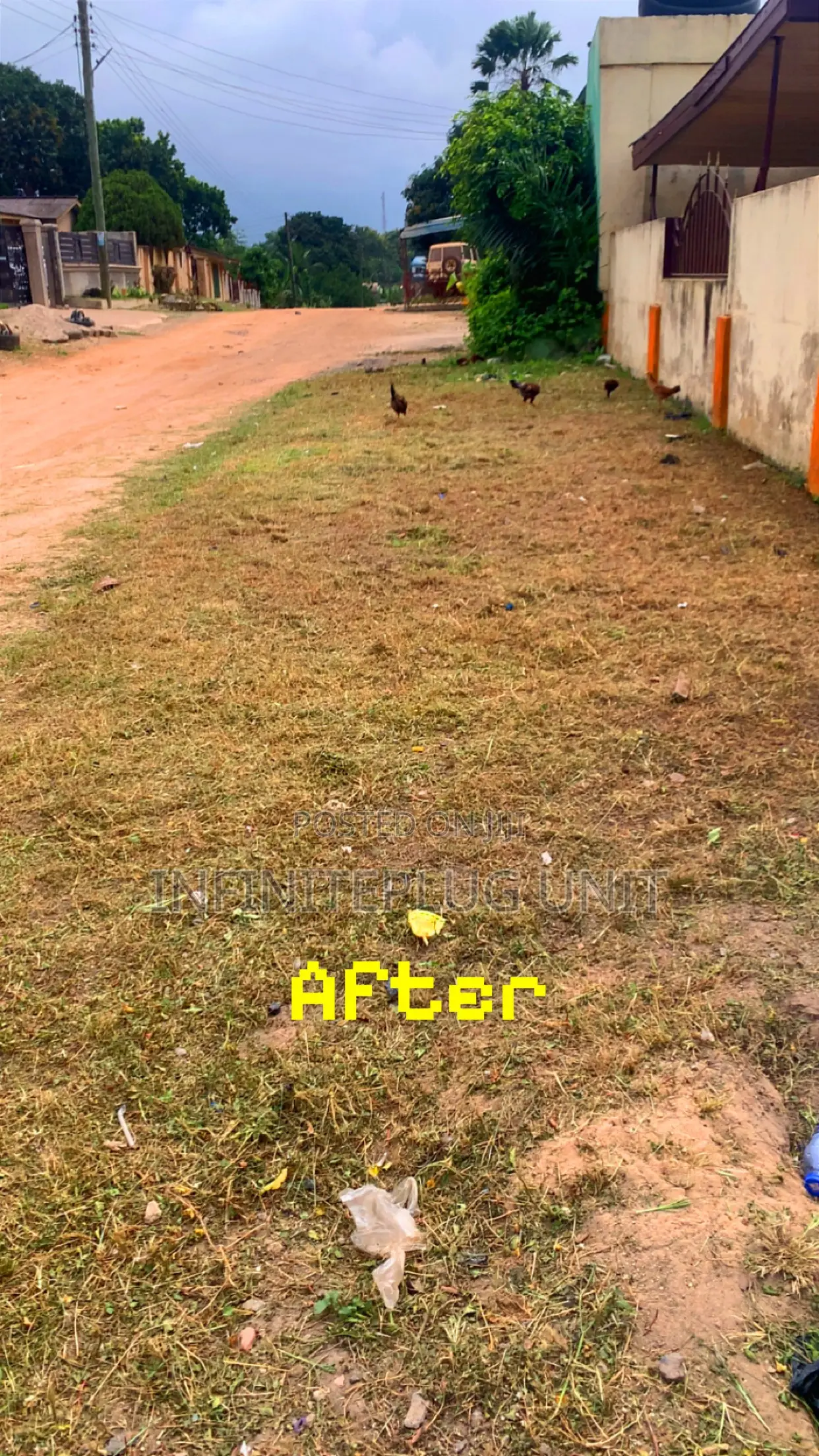 Lawn Care Services