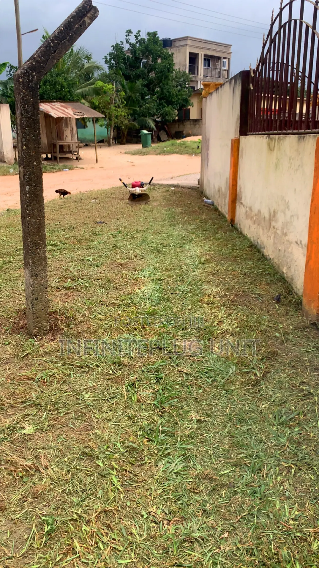 Lawn Care Services