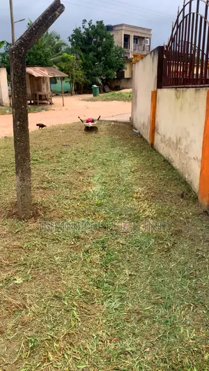 Lawn Care Services
